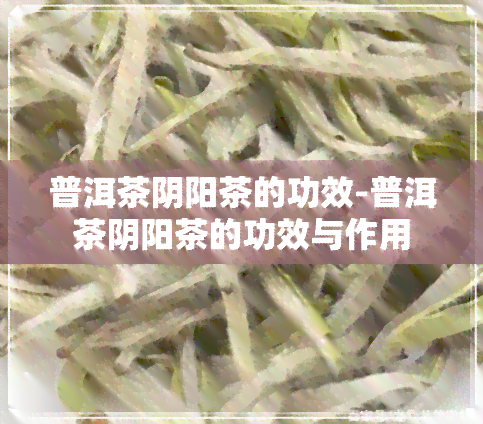 普洱茶阴阳茶的功效-普洱茶阴阳茶的功效与作用