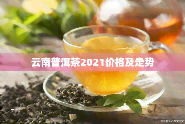 云南普洱茶2021价格及走势