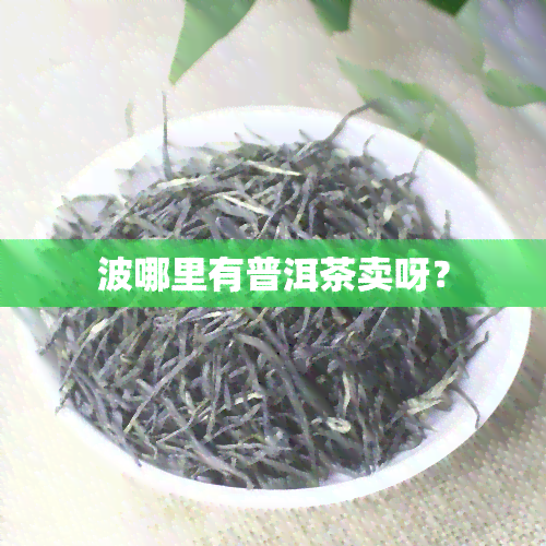 波哪里有普洱茶卖呀？