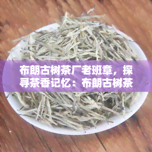 布朗古树茶厂老班章，探寻茶香记忆：布朗古树茶厂老班章的传奇故事