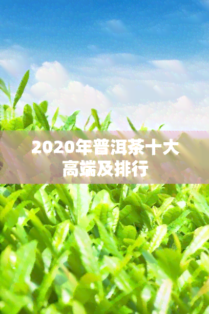 2020年普洱茶十大高端及排行