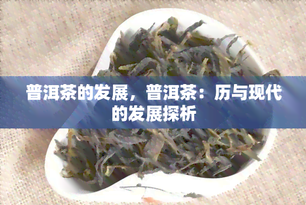 普洱茶的发展，普洱茶：历与现代的发展探析