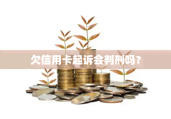 欠信用卡起诉会判刑吗？