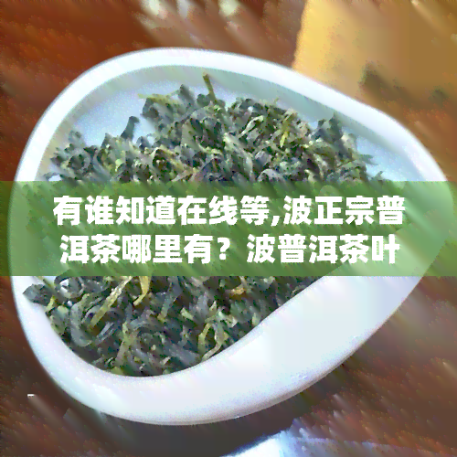 有谁知道在线等,波正宗普洱茶哪里有？波普洱茶叶场在哪里？