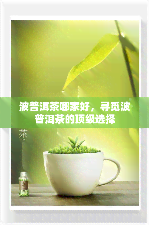 波普洱茶哪家好，寻觅波普洱茶的顶级选择