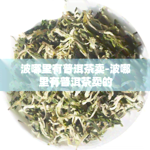 波哪里有普洱茶卖-波哪里有普洱茶卖的