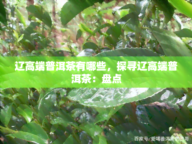 辽高端普洱茶有哪些，探寻辽高端普洱茶：盘点