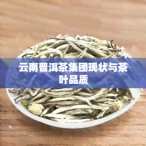 云南普洱茶集团现状与茶叶品质