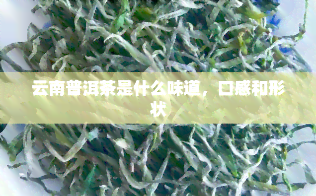 云南普洱茶是什么味道，口感和形状