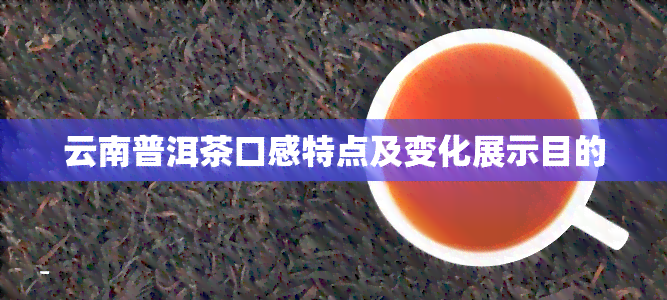 云南普洱茶口感特点及变化展示目的