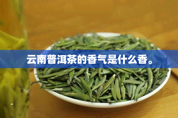 云南普洱茶的香气是什么香。