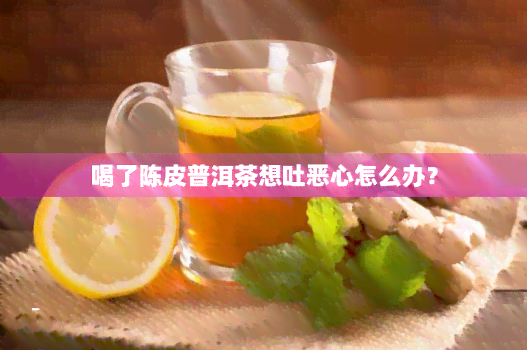 喝了陈皮普洱茶想吐恶心怎么办？