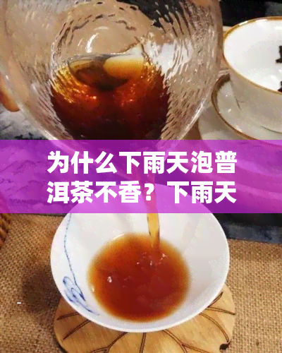 为什么下雨天泡普洱茶不香？下雨天喝普洱茶熟茶的讲究