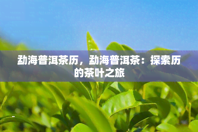 勐海普洱茶历，勐海普洱茶：探索历的茶叶之旅