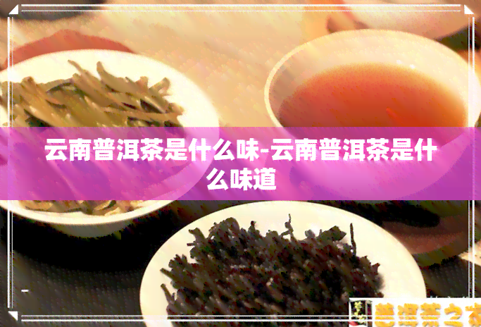 云南普洱茶是什么味-云南普洱茶是什么味道