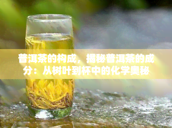 普洱茶的构成，揭秘普洱茶的成分：从树叶到杯中的化学奥秘