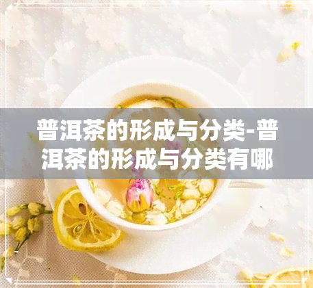 普洱茶的形成与分类-普洱茶的形成与分类有哪些