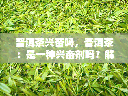 普洱茶兴奋吗，普洱茶：是一种 *** 吗？解析茶叶的兴奋效应