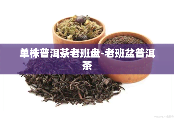 单株普洱茶老班盘-老班盆普洱茶