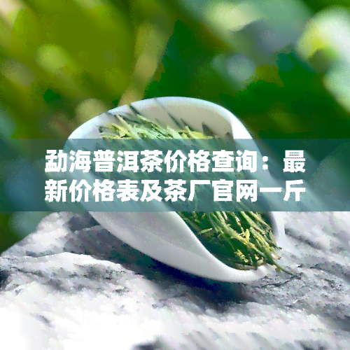 勐海普洱茶价格查询：最新价格表及茶厂官网一斤多少钱？