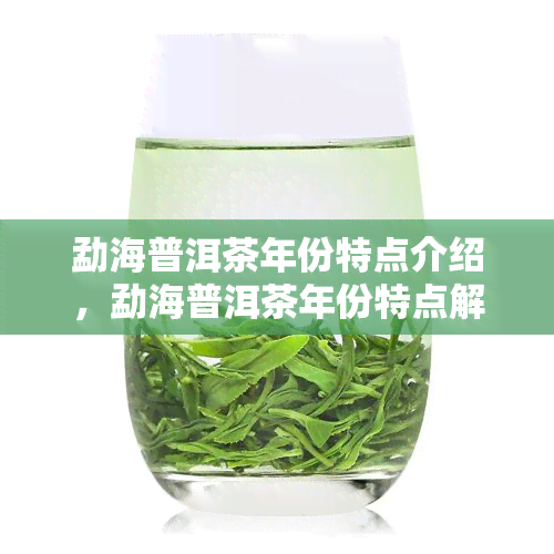 勐海普洱茶年份特点介绍，勐海普洱茶年份特点解析：品味岁月香醇之味