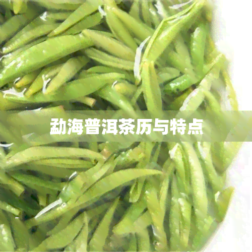 勐海普洱茶历与特点