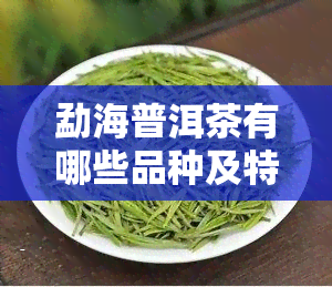 勐海普洱茶有哪些品种及特点