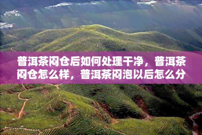 普洱茶闷仓后如何处理干净，普洱茶闷仓怎么样，普洱茶闷泡以后怎么分别好坏