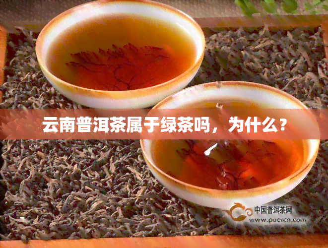 云南普洱茶属于绿茶吗，为什么？