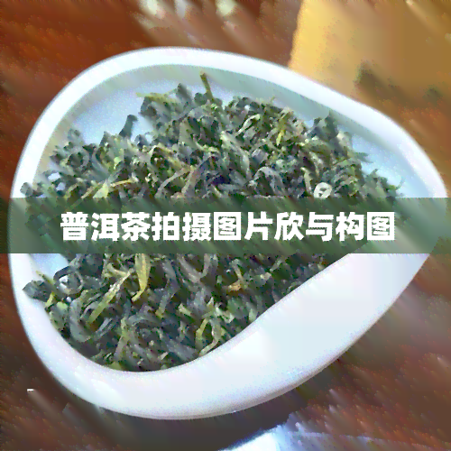 普洱茶拍摄图片欣与构图