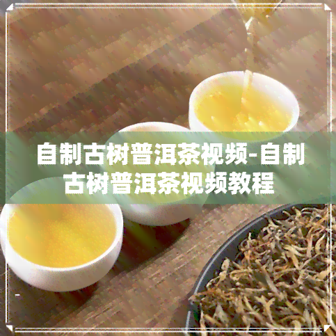 自制古树普洱茶视频-自制古树普洱茶视频教程