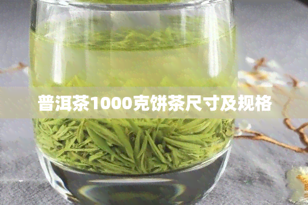 普洱茶1000克饼茶尺寸及规格