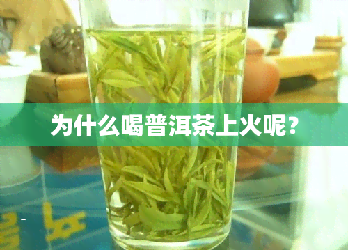 为什么喝普洱茶上火呢？