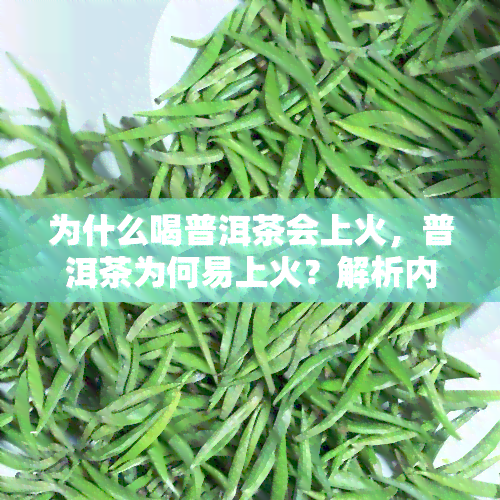 为什么喝普洱茶会上火，普洱茶为何易上火？解析内在原因