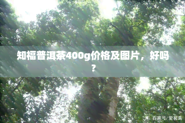 知福普洱茶400g价格及图片，好吗？