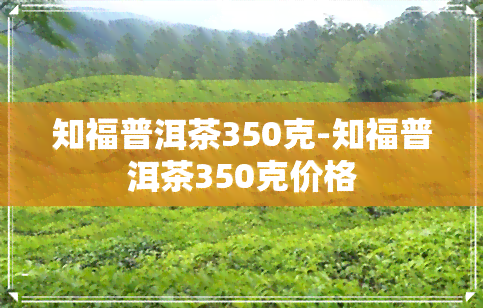 知福普洱茶350克-知福普洱茶350克价格