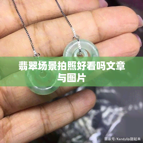 翡翠场景拍照好看吗文章与图片