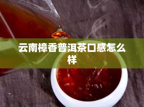 云南樟香普洱茶口感怎么样