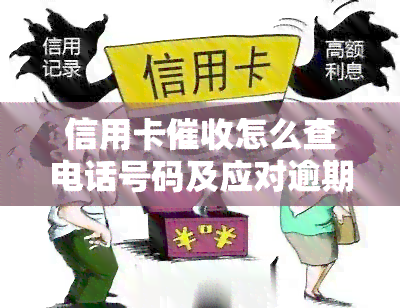 信用卡怎么查电话号码及应对逾期电话，找到新单位的方法