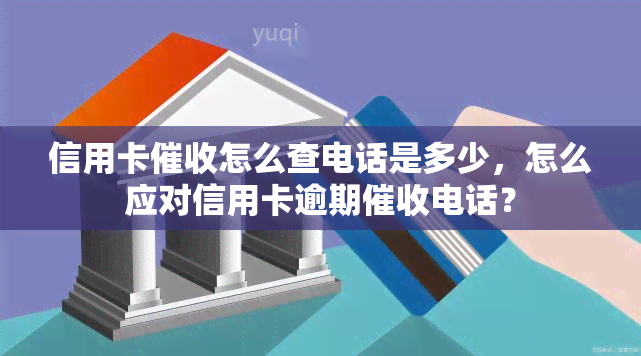 信用卡怎么查电话是多少，怎么应对信用卡逾期电话？