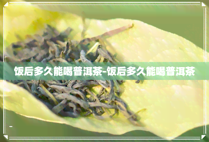 饭后多久能喝普洱茶-饭后多久能喝普洱茶