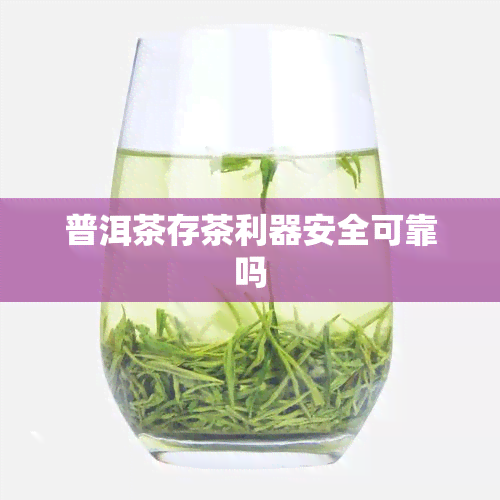 普洱茶存茶利器安全可靠吗