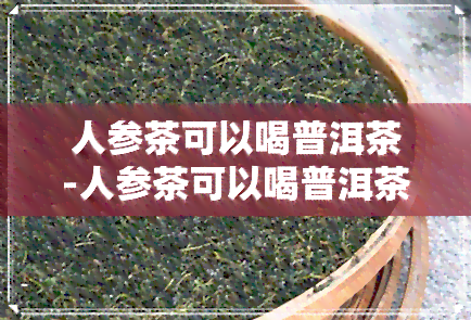 人参茶可以喝普洱茶-人参茶可以喝普洱茶吗