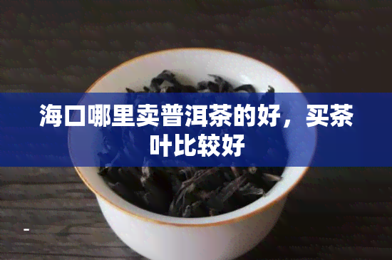 海口哪里卖普洱茶的好，买茶叶比较好