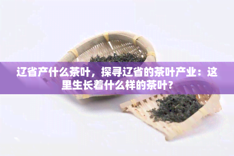 辽省产什么茶叶，探寻辽省的茶叶产业：这里生长着什么样的茶叶？