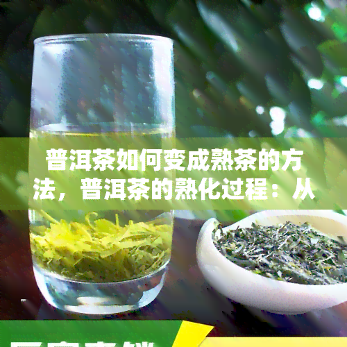 普洱茶如何变成熟茶的方法，普洱茶的熟化过程：从生茶到熟茶的转变方法