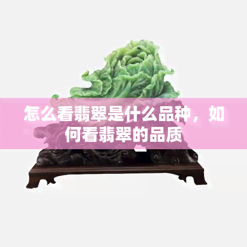 怎么看翡翠是什么品种，如何看翡翠的品质