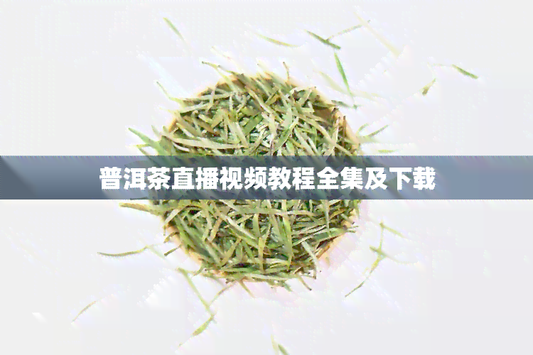 普洱茶直播视频教程全集及下载