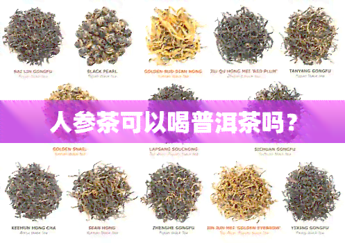 人参茶可以喝普洱茶吗？