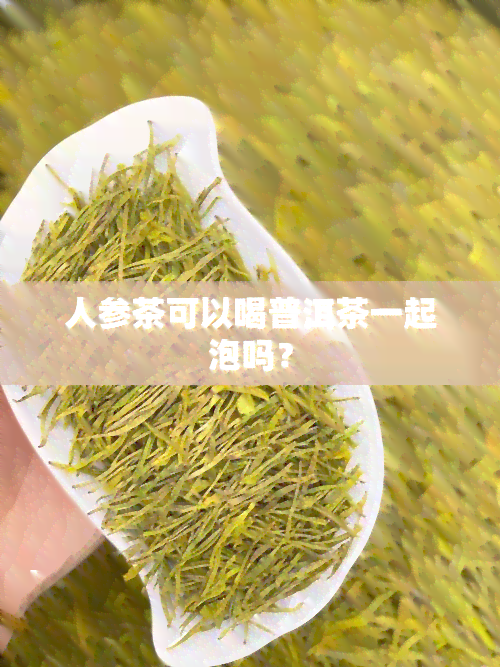 人参茶可以喝普洱茶一起泡吗？